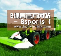 关于bsport体育