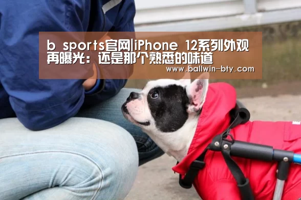 b sports官网